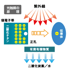 ウォーター・エコクリーン